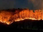 Fires Rage In North Carolina Where Hurricane Hit